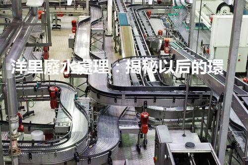 洋里廢水處理：揭秘以后的環(huán)保技術(shù)與挑戰(zhàn)？